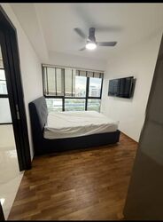 Sims Urban Oasis (D14), Condominium #556950721
